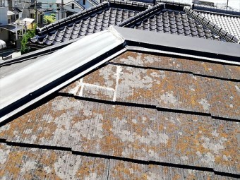 苔等で変色したスレート屋根