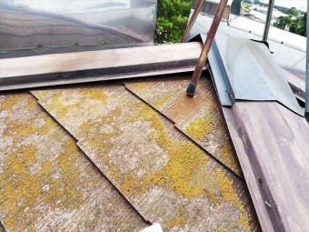 寄棟屋根 棟板金の浮き