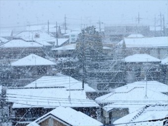積雪