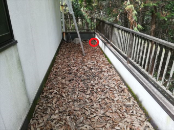 三木市の雨漏り無料点検のベランダに積もった落葉