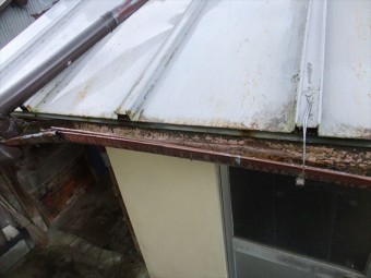 佐用町現地調査雨樋