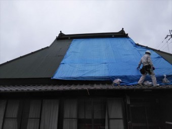 神河町の茅葺き屋根の下地補強後の養生