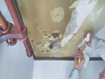 姫路市の雨漏り箇所の確認