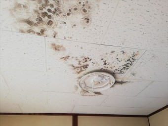 ベランダ下の室内の雨漏り状況