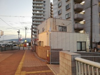 明石市の外壁のツルの撤去の写真