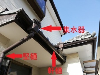 雨樋