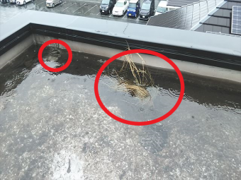 加古郡播磨町の陸屋根のドレン詰まりの原因