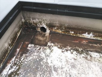 加古郡播磨町の陸屋根の水が抜けたドレンの写真