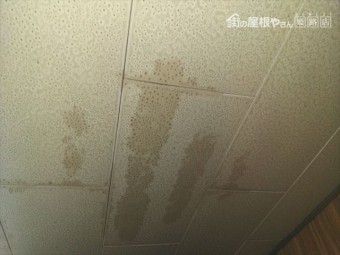 姫路市の天井の雨漏りの様子