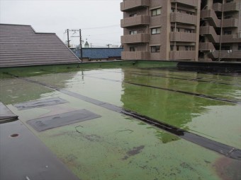 加古川陸屋根雨漏り