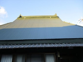 IMG_0118_R-columns2