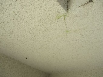 夢前町の軒天の染み