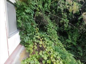 宍粟市千種町の樹木が茂った屋根写真