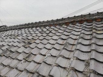 相生市の雨漏り調査の劣化した瓦屋根
