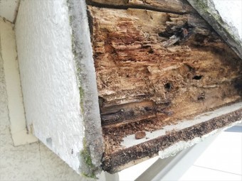 破風板下地 シロアリ被害