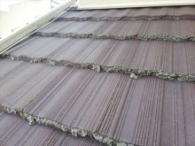 苔の発生した屋根