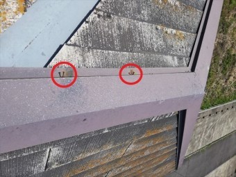 姫路市の無料点検のスレート屋根の釘浮きの状況