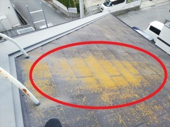 揖保郡太子町の苔がはえているスレート屋根