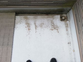 姫路市のFRP防水の劣化