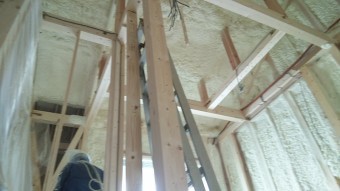IMG_3129-columns2