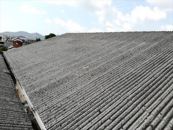 太子町の雨漏りした工場のスレート屋根
