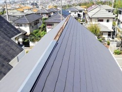 棟板金