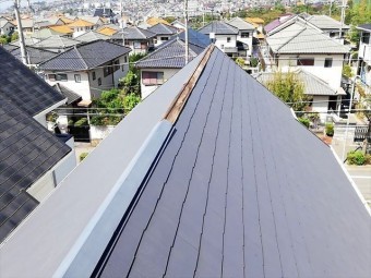棟板金