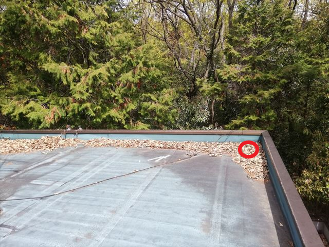 三木市の雨漏り無料点検の陸屋根に積もった落葉
