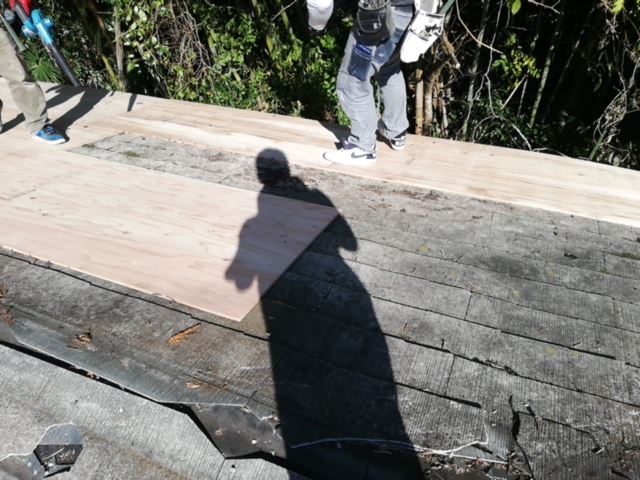 カバー工法　既存の屋根材に野地板の貼りつけ作業中