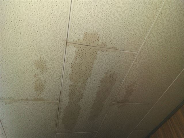 姫路市の天井の雨漏りの様子